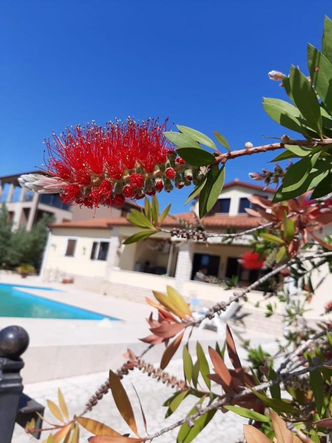 באניולה Nice, Cosy Studio Apartment With Shared Outdoor Pool מראה חיצוני תמונה